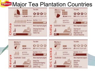 Major Tea Plantation Countries
 