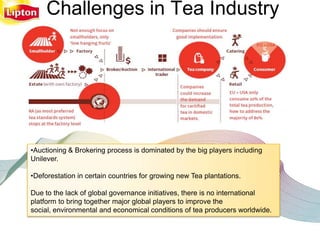 Challenges in Tea Industry




•Auctioning & Brokering process is dominated by the big players including
Unilever.

•Deforestation in certain countries for growing new Tea plantations.

Due to the lack of global governance initiatives, there is no international
platform to bring together major global players to improve the
social, environmental and economical conditions of tea producers worldwide.
 