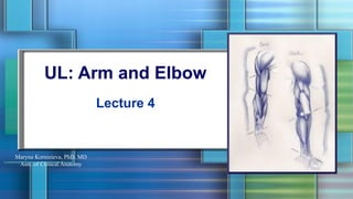 UL: Arm and Elbow
Lecture 4
Maryna Kornieieva, PhD, MD
Asst. of Clinical Anatomy
 