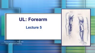 UL: Forearm
Lecture 5
Maryna Kornieieva, PhD, MD
Asst. of Clinical Anatomy
 