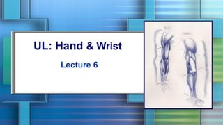 UL: Hand & Wrist
Lecture 6
 
