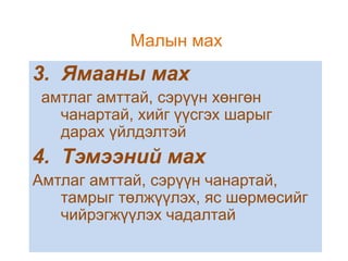 Малын мах

3. Ямааны мах
амтлаг амттай, сэрүүн хөнгөн
чанартай, хийг үүсгэх шарыг
дарах үйлдэлтэй

4. Тэмээний мах
Амтлаг амттай, сэрүүн чанартай,
тамрыг төлжүүлэх, яс шөрмөсийг
чийрэгжүүлэх чадалтай

 