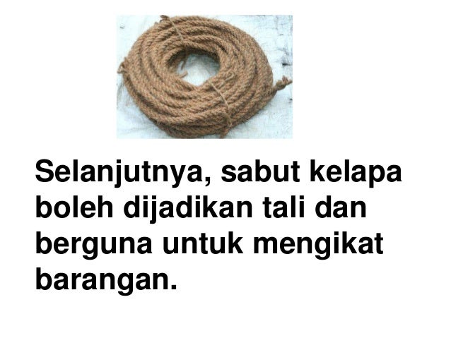 Ulasan Bahasa Melayu Tahun 3