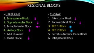 Interpectoral Block Regional Blocks of the Upper Limb and Thorax RRT | PPTX