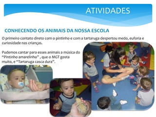 ATIVIDADES
CONHECENDO OS ANIMAIS DA NOSSA ESCOLA
O primeiro contato direto com o pintinho e com a tartaruga despertou medo, euforia e
curiosidade nas crianças.
Pudemos cantar para esses animais a música do
“Pintinho amarelinho” , que o MGT gosta
muito, e “Tartaruga casca dura”.
 