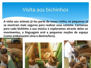 A visita aos animais já faz parte da nossa rotina, os pequenos já
se mostram mais seguros para realizar esse contato. Cantamos
para cada bichinho a sua música e exploramos através delas os
movimentos, a linguagem oral e pequenas noções de espaço
(como embaixo/em cima e dentro/fora).
Visita aos bichinhos
 