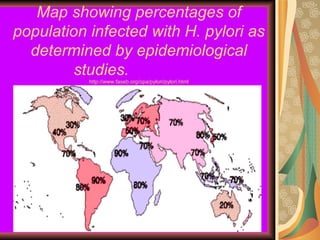Map showing percentages of population infected with H. pylori as determined by epidemiological studies.   http://www.faseb.org/opa/pylori/pylori.html 