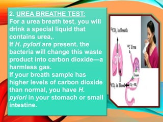 2. UREA BREATHE TEST:
For a urea breath test, you will
drink a special liquid that
contains urea,.
If H. pylori are present, the
bacteria will change this waste
product into carbon dioxide—a
harmless gas.
If your breath sample has
higher levels of carbon dioxide
than normal, you have H.
pylori in your stomach or small
intestine.
 