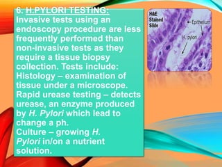 6. H.PYLORI TESTING:
Invasive tests using an
endoscopy procedure are less
frequently performed than
non-invasive tests as they
require a tissue biopsy
collection. Tests include:
Histology – examination of
tissue under a microscope.
Rapid urease testing – detects
urease, an enzyme produced
by H. Pylori which lead to
change a ph.
Culture – growing H.
Pylori in/on a nutrient
solution.
 