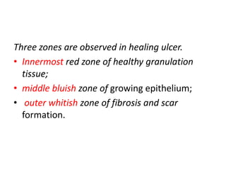 Three zones are observed in healing ulcer.
• Innermost red zone of healthy granulation
tissue;
• middle bluish zone of growing epithelium;
• outer whitish zone of fibrosis and scar
formation.
 
