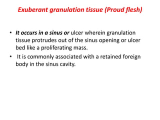 Exuberant granulation tissue (Proud flesh)
• It occurs in a sinus or ulcer wherein granulation
tissue protrudes out of the sinus opening or ulcer
bed like a proliferating mass.
• It is commonly associated with a retained foreign
body in the sinus cavity.
 