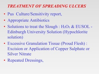 TREATMENT OF CHRONIC
ULCERS
• These do not respond to conventional methods of
treatment.
The following are tried:
• Infrar...