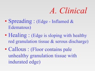 A. Clinical
• Spreading : (Edge - Inflamed &
Edematous)
• Healing : (Edge is sloping with healthy
red granulation tissue &...