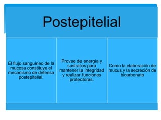 Postepitelial
El flujo sanguíneo de la
mucosa constituye el
mecanismo de defensa
postepitelial.
Provee de energía y
sustratos para
mantener la integridad
y realizar funciones
protectoras.
Como la elaboración de
mucus y la secreción de
bicarbonato
 