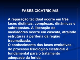 FASES CICATRICIAIS  A reparação tecidual ocorre em três fases distintas, complexas, dinâmicas e sobrepostas. A liberação de mediadores ocorre em cascata, atraindo estruturas à periferia da região traumatizada. O conhecimento das fases evolutivas do processo fisiológico cicatricial é fundamental para o tratamento adequado da ferida. 