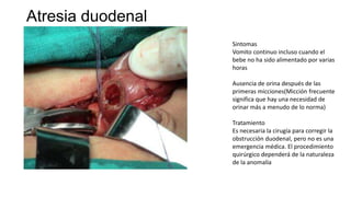 Atresia duodenal
Sintomas
Vomito continuo incluso cuando el
bebe no ha sido alimentado por varias
horas
Ausencia de orina después de las
primeras micciones(Micción frecuente
significa que hay una necesidad de
orinar más a menudo de lo norma)
Tratamiento
Es necesaria la cirugía para corregir la
obstrucción duodenal, pero no es una
emergencia médica. El procedimiento
quirúrgico dependerá de la naturaleza
de la anomalía
 