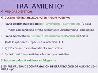 TRATAMIENTO:
 MEDIDAS DIETETICAS

 ÚLCERA PÉPTICA HELICOBACTER PYLORI POSITIVA

 Pauta de primera eleccion: IBP + amoxicilina + claritromicina (7 dias)

    + 7 dias con: ranitidina citrato de bismunto ,claritromicina , amoxicilina

 Pauta de rescate :IBP+bismuto+tetraciclina+ metronidazol (7 dias)

• 5% de los pacientes persiste la infección 

 a) IBP + bismuto + metronidazol + amoxicilina;

 B)claritromicina + ranitidina + bismuto + amoxicilina

Si fracasan todos  cultivo y antibiograma

SIEMPRE PRUEBA DE CONFIRMACION DE ERRADICACION DE ALIENTO CON
UREA -13C
 