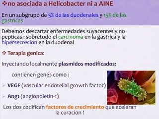 no asociada a Helicobacter ni a AINE
En un subgrupo de 5% de las duodenales y 15% de las
gastricas
Debemos descartar enfermedades suyacentes y no
pepticas : sobretodo el carcinoma en la gastrica y la
hipersecrecion en la duodenal
 Terapia genica:
Inyectando localmente plasmidos modificados:
    contienen genes como :
 VEGF (vascular endotelial growth factor)
 Ang1 (angiopoietin-1)
Los dos codifican factores de crecimiento que aceleran
                      la curacion !
 