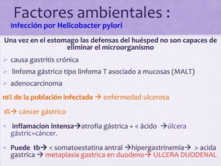Factores ambientales :
• Infección por Helicobacter pylori
Una vez en el estomago las defensas del huésped no son capaces de
                   eliminar el microorganismo
 causa gastritis crónica
 linfoma gástrico tipo linfoma T asociado a mucosas (MALT)
 adenocarcinoma
10% de la población infectada  enfermedad ulcerosa
1% cáncer gástrico
• inflamacion intensaatrofia gástrica + < ácido úlcera
  gástric+cáncer.
• Puede tb < somatoestatina antral hipergastrinemia > acida
  gastrica  metaplasia gastrica en duodeno ULCERA DUODENAL
 