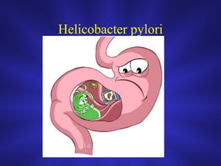 Helicobacter pylori
 