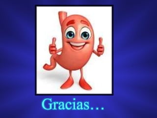Gracias…
 
