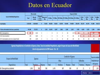 Datos en Ecuador
INEC 2011
 