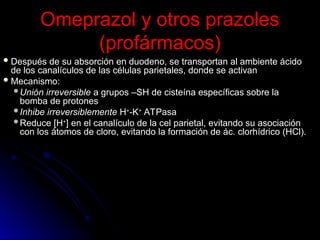 Omeprazol y otros prazoles
Omeprazol y otros prazoles
(profármacos)
(profármacos)
 Después de su absorción en duodeno, se transportan al ambiente ácido
Después de su absorción en duodeno, se transportan al ambiente ácido
de los canalículos de las células parietales, donde se activan
de los canalículos de las células parietales, donde se activan
 Mecanismo:
Mecanismo:
Unión irreversible
Unión irreversible a grupos –SH de cisteína específicas sobre la
a grupos –SH de cisteína específicas sobre la
bomba de protones
bomba de protones
Inhibe irreversiblemente
Inhibe irreversiblemente H
H+
+
-K
-K+
+
ATPasa
ATPasa
Reduce [H
Reduce [H+
+
] en el canalículo de la cel parietal, evitando su asociación
] en el canalículo de la cel parietal, evitando su asociación
con los átomos de cloro, evitando la formación de ác. clorhídrico (HCl).
con los átomos de cloro, evitando la formación de ác. clorhídrico (HCl).
 