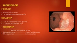  
EPIDEMIOLOGIA INCIDENCIA 
 
500.000 casos al año 
 
1% anual entre las personas hp+ PREVALENCIA 
 
5 al 10 % de la poblacion general 
 
1ª al 20 % en personas hp + 
 
RECURRENCIA 4 millones recurrencias al año 
 
Ulcera duodenal…………………..Paises occidentales 
 
Ulcera gastrica…………………....Paises asiaticos  