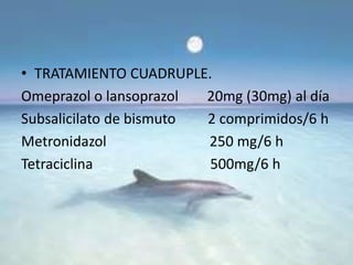 • TRATAMIENTO CUADRUPLE.
Omeprazol o lansoprazol 20mg (30mg) al día
Subsalicilato de bismuto 2 comprimidos/6 h
Metronidazol 250 mg/6 h
Tetraciclina 500mg/6 h
 