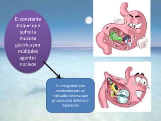 El constante
ataque que
sufre la
mucosa
gástrica por
múltiples
agentes
nocivos
Su integridad esta
mantenida por un
intricado sistema que
proporciona defensa y
reparación
 