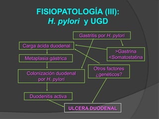 FISIOPATOLOGÍA (III):
        H. pylori y UGD
                         Gastritis por H. pylori

Carga ácida duodenal
                                          >Gastrina
Metaplasia gástrica                     <Somatostatina

                                Otros factores
 Colonización duodenal           ¿genéticos?
      por H. pylori


  Duodenitis activa

                      ULCERA DUODENAL
 
