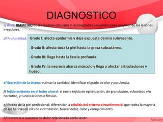 DIAGNOSTICO
c) Área: DIAMETRO de las lesiones circulares y las longitudes perpendiculares mayores de las lesiones
irregulares.
d) Profundidad:
e) Secreción de la úlcera: estimar la cantidad, identificar el grado de olor y purulencia.
f) Tejido existente en el lecho ulceral: si existe tejido de epitelización, de granulación, esfacelado y/o
necrótico, y tunelizaciones o fístulas.
g) Estado de la piel perilesional: diferenciar la celulitis del eritema circunferencial que rodea la mayoría
de las heridas en vías de cicatrización; buscar dolor, calor y enrojecimiento.
h) Presencia o ausencia de dolor relacionado conla lesión
•
•Grado I: afecta epidermis y deja expuesta dermis subyacente.
• Grado II: afecta toda la piel hasta la grasa subcutánea.
• Grado III: llega hasta la fascia profunda.
• Grado IV: la necrosis abarca músculo y llega a afectar articulaciones y
hueso.
 