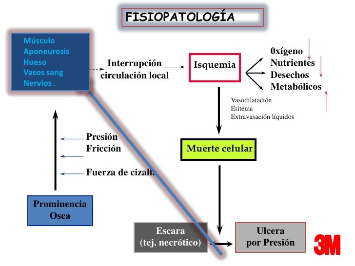 nom hipertensión arterial resultados