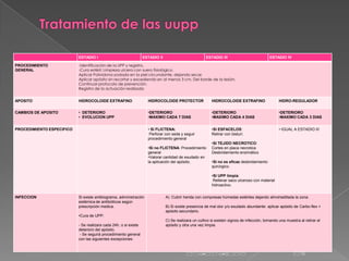 ESTADIO I                              ESTADIO II                           ESTADIO III                          ESTADIO I...