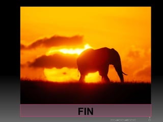 FIN                2
      10/11/2011   1
 