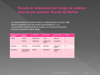    Fue desarrollada por Doreen Norton y colaboradores en el año 1962.
    Valora 6 apartados con una escala de gravedad d...