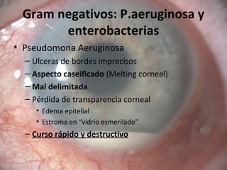 Gram negativos: P.aeruginosa y
enterobacterias
• Pseudomona Aeruginosa
– Ulceras de bordes imprecisos
– Aspecto caseificado (Melting corneal)
– Mal delimitada
– Pérdida de transparencia corneal
• Edema epitelial
• Estroma en “vidrio esmerilado”
– Curso rápido y destructivo
 
