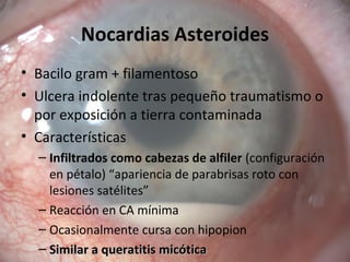 Nocardias Asteroides
• Bacilo gram + filamentoso
• Ulcera indolente tras pequeño traumatismo o
por exposición a tierra contaminada
• Características
– Infiltrados como cabezas de alfiler (configuración
en pétalo) “apariencia de parabrisas roto con
lesiones satélites”
– Reacción en CA mínima
– Ocasionalmente cursa con hipopion
– Similar a queratitis micóticaSimilar a queratitis micótica
 