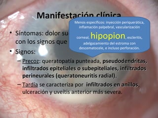 Manifestación clínica
• Síntomas: dolor suele ser desproporcionado
con los signos que presenta.
• Signos:
– Precoz: queratopatía punteada, pseudodendritas,pseudodendritas,
infiltrados epiteliales o subepiteliales, infiltradosinfiltrados epiteliales o subepiteliales, infiltrados
perineurales (queratoneuritis radial)perineurales (queratoneuritis radial).
– Tardía se caracteriza por infiltrados en anillosinfiltrados en anillos,
ulceración y uveítis anterior más severa.
Menos específicos: inyección periquerática,
inflamación palpebral, vascularización
corneal, hipopion, escleritis,
adelgazamiento del estroma con
descematocele, e incluso perforación.
 