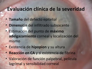 Evaluación clínica de la severidad
• Tamaño del defecto epitelial
• Dimensión del infiltrado subyacente
• Estimación del punto de máximo
adelgazamiento corneal y localización del
mismo
• Existencia de hipopion y su altura
• Reacción en CA y si existencia de fibrina
• Valoración de función palpebral, película
lagrimal y sensibilidad corneal
 