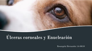 Úlceras corneales y Enucleación
Rosangela Hernandez 14-0610
 