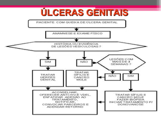 ÚLCERAS GENITAIS

 