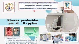 Ulceras producidas
por el H . pylori
INTEGRANTES:
- David Carlos Bertolotto Huamaní (2018-125003)
- Angie Alexandra Alvarez Lima (2018-125030)
 