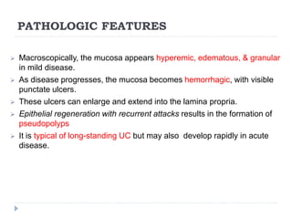 PATHOLOGIC FEATURES
 Macroscopically, the mucosa appears hyperemic, edematous, & granular
in mild disease.
 As disease progresses, the mucosa becomes hemorrhagic, with visible
punctate ulcers.
 These ulcers can enlarge and extend into the lamina propria.
 Epithelial regeneration with recurrent attacks results in the formation of
pseudopolyps
 It is typical of long-standing UC but may also develop rapidly in acute
disease.
 