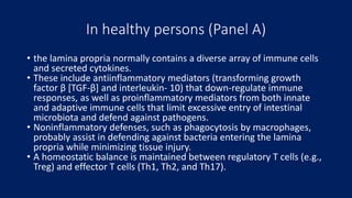 In healthy persons (Panel A)
• the lamina propria normally contains a diverse array of immune cells
and secreted cytokines.
• These include antiinflammatory mediators (transforming growth
factor β [TGF-β] and interleukin- 10) that down-regulate immune
responses, as well as proinflammatory mediators from both innate
and adaptive immune cells that limit excessive entry of intestinal
microbiota and defend against pathogens.
• Noninflammatory defenses, such as phagocytosis by macrophages,
probably assist in defending against bacteria entering the lamina
propria while minimizing tissue injury.
• A homeostatic balance is maintained between regulatory T cells (e.g.,
Treg) and effector T cells (Th1, Th2, and Th17).
 