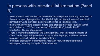 In persons with intestinal inflammation (Panel
B)
• several events contribute to increased bacterial exposure, including disruption of
the mucus layer, dysregulation of epithelial tight junctions, increased intestinal
permeability, and increased bacterial adherence to epithelial cells.
• In inflammatory bowel disease, innate cells produce increased levels of tumor
necrosis factor α (TNF-α), interleukin-1β, interleukin-6, interleukin-12,
interleukin- 23, and chemokines.
• There is marked expansion of the lamina propria, with increased numbers of
CD4+ T cells, especially proinflammatory T-cell subgroups, which also secrete
increased levels of cytokines and chemokines.
• Increased production of chemokines results in recruitment of additional
leukocytes, resulting in a cycle of inflammation.
 