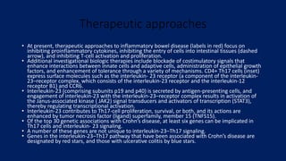 Therapeutic approaches
• At present, therapeutic approaches to inflammatory bowel disease (labels in red) focus on
inhibiting proinflammatory cytokines, inhibiting the entry of cells into intestinal tissues (dashed
arrow), and inhibiting T-cell activation and proliferation.
• Additional investigational biologic therapies include blockade of costimulatory signals that
enhance interactions between innate cells and adaptive cells, administration of epithelial growth
factors, and enhancement of tolerance through a variety of mechanisms. CD4+ Th17 cells (inset)
express surface molecules such as the interleukin- 23 receptor (a component of the interleukin-
23–receptor complex, which consists of the interleukin-23 receptor and the interleukin-12
receptor B1) and CCR6.
• Interleukin-23 (comprising subunits p19 and p40) is secreted by antigen-presenting cells, and
engagement of interleukin-23 with the interleukin-23–receptor complex results in activation of
the Janus-associated kinase ( JAK2) signal transducers and activators of transcription (STAT3),
thereby regulating transcriptional activation.
• Interleukin-23 contributes to Th17-cell proliferation, survival, or both, and its actions are
enhanced by tumor necrosis factor (ligand) superfamily, member 15 (TNFS15).
• Of the top 30 genetic associations with Crohn’s disease, at least six genes can be implicated in
Th17 cells and interleukin- 23 signaling.
• A number of these genes are not unique to interleukin-23–Th17 signaling.
• Genes in the interleukin-23–Th17 pathway that have been associated with Crohn’s disease are
designated by red stars, and those with ulcerative colitis by blue stars.
 