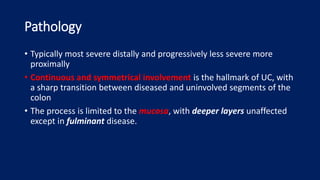 Pathology
• Typically most severe distally and progressively less severe more
proximally
• Continuous and symmetrical involvement is the hallmark of UC, with
a sharp transition between diseased and uninvolved segments of the
colon
• The process is limited to the mucosa, with deeper layers unaffected
except in fulminant disease.
 