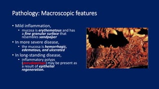 Pathology: Macroscopic features
• Mild inflammation,
• mucosa is erythematous and has
a fine granular surface that
resembles sandpaper
• In more severe disease,
• the mucosa is hemorrhagic,
edematous, and ulcerated
• In long-standing disease,
• inflammatory polyps
(pseudopolyps) may be present as
a result of epithelial
regeneration.
 