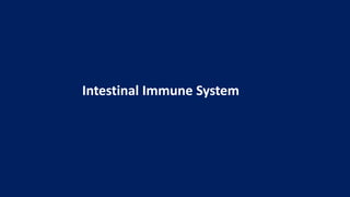 Intestinal Immune System
 